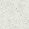 Плитка Италон Charme Extra Carrara Lux 59x59