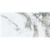 Pelledium Marble 60x120 HG