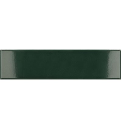 Costa Nova Laurel Green Glossy 5x20