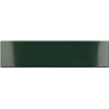 Costa Nova Laurel Green Glossy 5x20