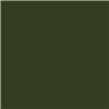 Kingdom Verde Botella 20x20