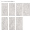 Armani Silver 60x120 Matt