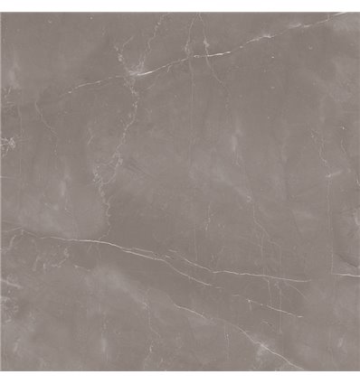 Armani Gris 60x60 Polished