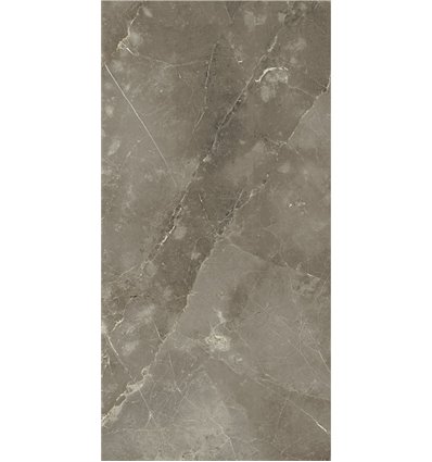 Stellaris Tuscania Grey Шлифованный 60x120