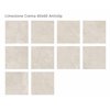 Limestone Crema 60x60 Antislip