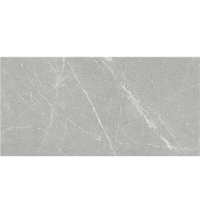 Dakota Gris 60x120 Antislip