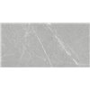 Dakota Gris 60x120 Antislip