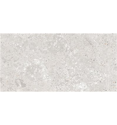 Roma Gris Carving Satin 60x120