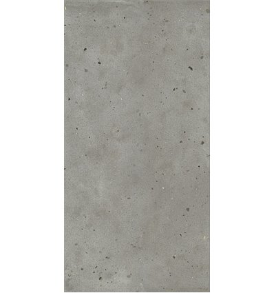 Avantgarde Iron Naturale 60x120