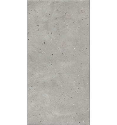 Avantgarde Silver Naturale 60x120