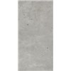 Avantgarde Silver Naturale 60x120