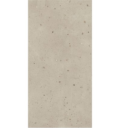Avantgarde Dust Naturale 60x120