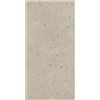 Avantgarde Dust Naturale 60x120