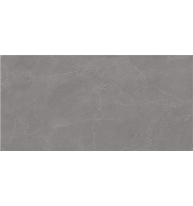 Valencia Grey 60x120 Matt