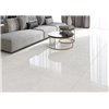 Taj Bianco 60x120 Polished