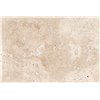 Albottega Травертин Travertine Tivoli White 600х600х20