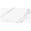 Statuario Calipso 60x120 Antislip