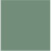 Light Green - Loose 10x10