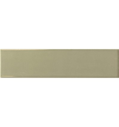 Lumina Lichen Glossy 6x24,6