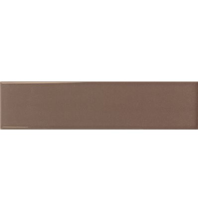 Lumina Acorn Glossy 6x24,6