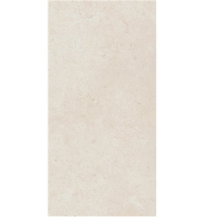 Fossil Pure 60X120 Ret