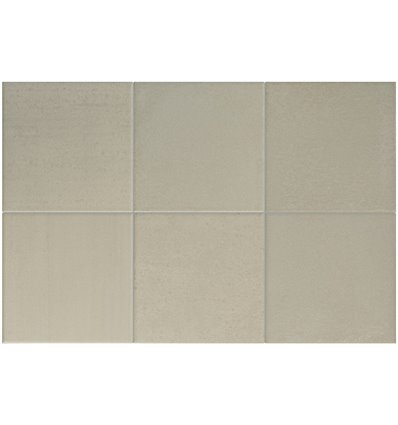 Hikari Evergreen 10x10