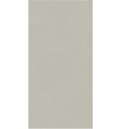 Forum Slim Silver Натуральный 60x120