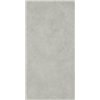 Forum Wave Silver Натуральный 60x120