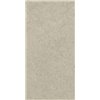 Forum Stone Desert Натуральный 60x120