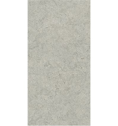 Forum Stone Silver Натуральный 60x120