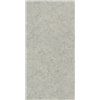 Forum Stone Silver Натуральный 60x120