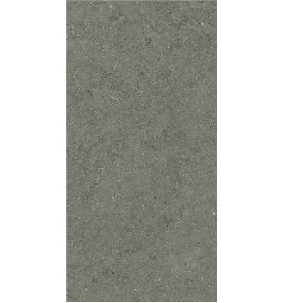 Forum Stone Iron Натуральный 60x120