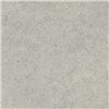 Forum Stone Silver Натуральный 80x80