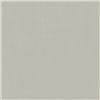 Forum Slim Silver Натуральный 120x120