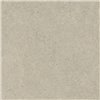 Forum Stone Desert Натуральный 120x120