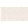 Fenix Crema 60x120 Sugar