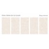 Fenix Crema 60x120 Sugar