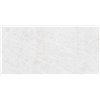 Arctic Bianco Satin 60x120