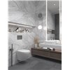 Imperial Grey Carving Satin 60x120