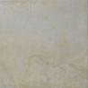 Плитка Imola Ceramica Antares 50B 50x50