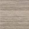 Плитка Atlas Concorde Италия Marvel Pro Travertino Silver Matt 60x60
